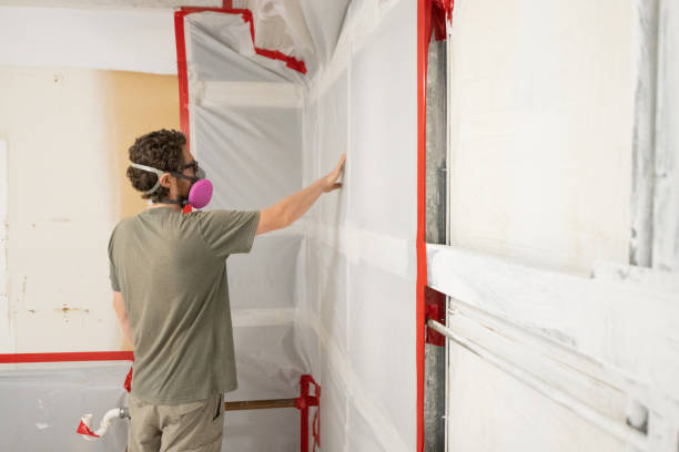 Best Mold Prevention Services  in Baldwyn, MS